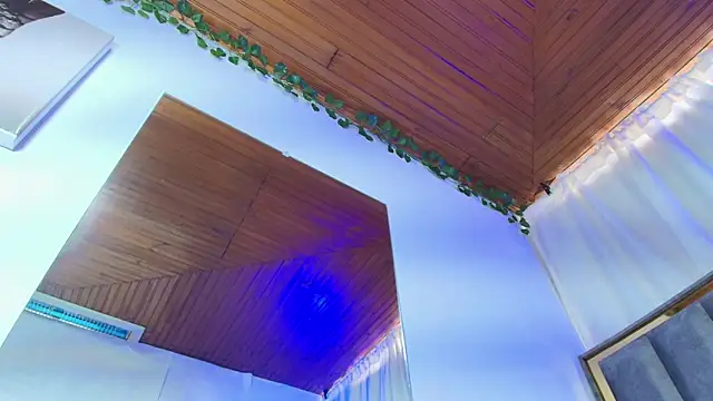 Snapshot of Naia_x chatting on 12.01.25 Naia x online show from 12.01.25