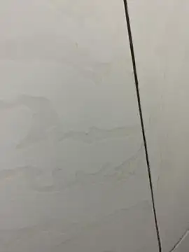 picatorta19 online show from 12.17.25