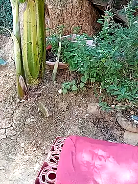 tayson  online show from 01.11.25