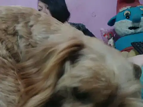 Snapshot of Cheliafun chatting on 10.25.25 Cheliafun online show from 10.25.25