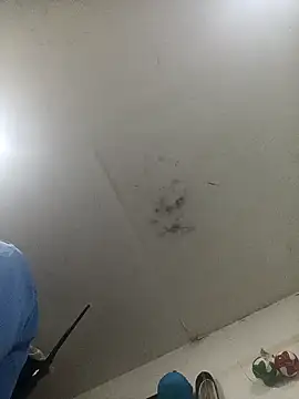 jeremiabello online show from 02.14.25