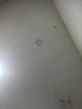 jeremiabello online show from 03.17.25