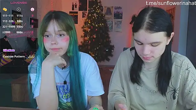 812sunflowerinahat online show from 12.15.24