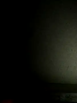 Leocesar37 online show from 11.19.25