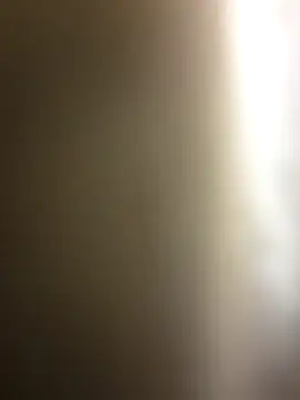 Snapshot of dosynophia2 chatting on 12.17.25 dosynophia2 online show from 12.17.25