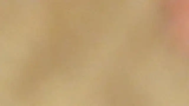 Snapshot of AraCopple chatting on 12.31.24 AraCopple online show from 12.31.24