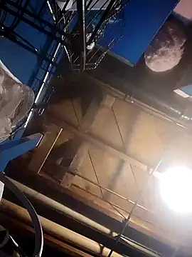 Whipit323 online show from 12.06.24