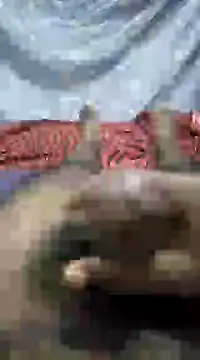 mallucallboy2104 online show from 01.01.25