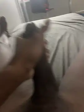 arrete2025 online show from 02.03.25