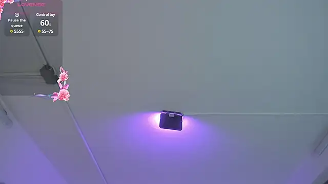 Snapshot of Meelanny_ds chatting on 12.20.24 Meelanny ds online show from 12.20.24