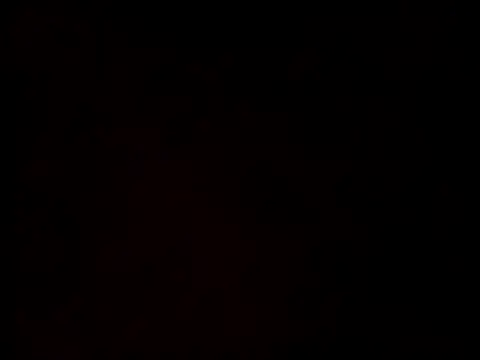 Snapshot of linksjack1010 chatting on 02.24.25 linksjack1010 online show from 02.24.25