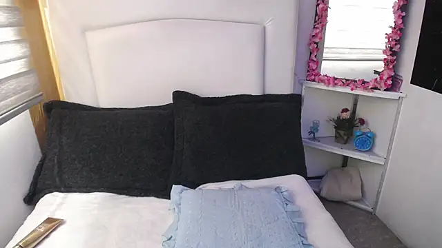 palmer mIix online show from 12.26.24