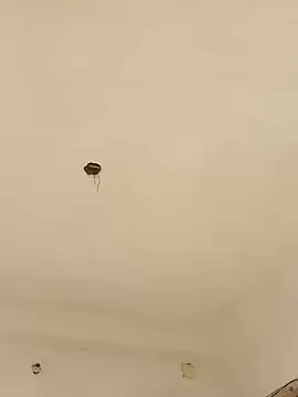 Lexi Baby  online show from 12.13.24