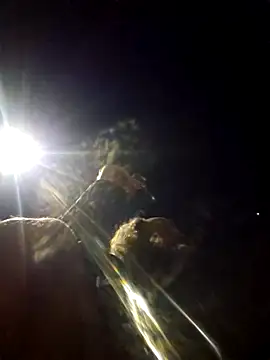 Beyond1978 online show from 01.09.26