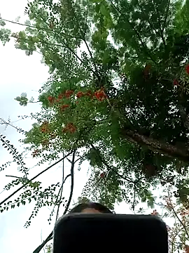 Snapshot of Karol-kamila19 chatting on 12.03.24 Karol-kamila19 online show from 12.03.24