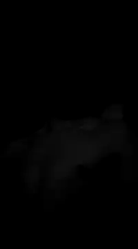 Deniell-01 online show from 03.19.25