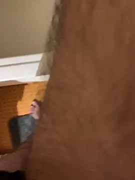 solomec online show from 01.11.25