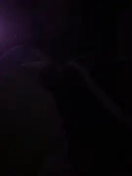 solomec online show from 03.06.25