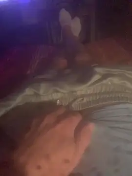 solomec online show from 10.13.25