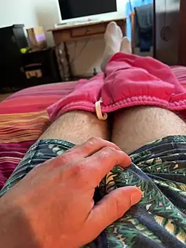 solomec online show from 04.05.26