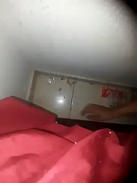 Snapshot of alexandre12115 chatting on 02.02.25 alexandre12115 online show from 02.02.25