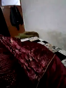 menakshiiikaur online show from 12.13.24