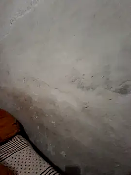 menakshiiikaur online show from 12.19.24