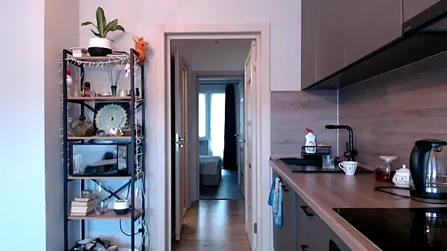 jainesummer online show from 03.12.25