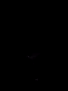 Donstark6669 online show from 01.23.25