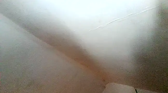 unclestefansdick online show from 12.10.24