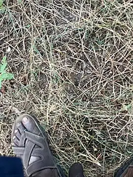 Snapshot of tamil000000 chatting on 03.11.25 tamil000000 online show from 03.11.25