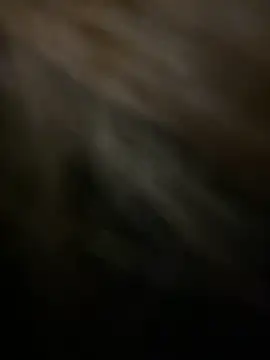 KitteCat online show from 01.04.25