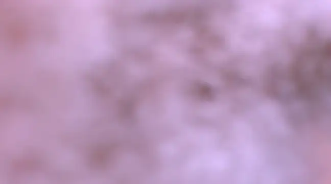 bubble red online show from 02.08.25