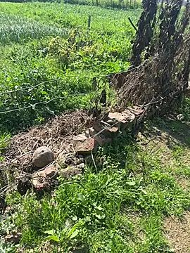 poision51 online show from 02.23.25