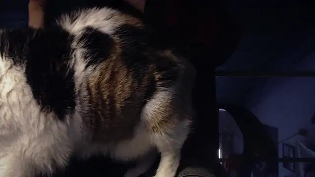 contemptumundi888 online show from 01.18.25