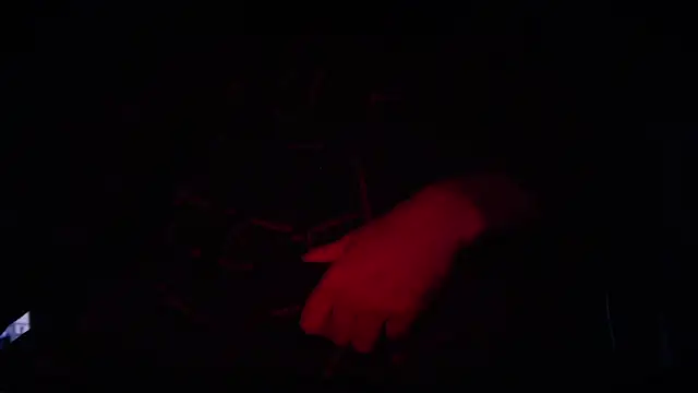 contemptumundi888 online show from 02.11.25