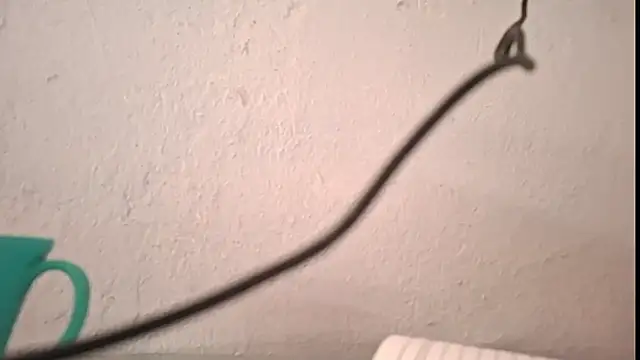 Snapshot of yazforeSolo chatting on 10.05.25 yazforeSolo online show from 10.05.25