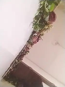 jenilmax online show from 03.31.26