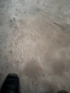 PracticalGum40 online show from 12.18.24