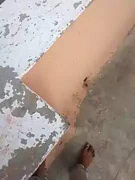 Snapshot of PracticalGum40 chatting on 02.21.26 PracticalGum40 online show from 02.21.26