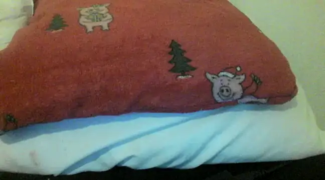 Snapshot of bunnyamy chatting on 12.05.24 bunnyamy online show from 12.05.24