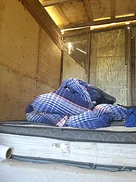 Carlosfkf online show from 04.04.26