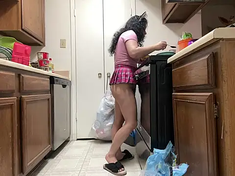 Snapshot of Tinytink chatting on 02.03.25 Tinytink online show from 02.03.25