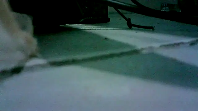 patynalgona online show from 10.18.25