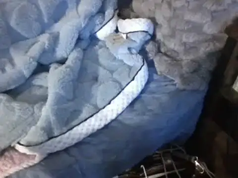 housewife shantie online show from 03.07.25