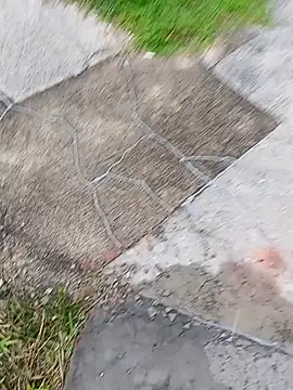 homenbuscalacto online show from 01.16.26