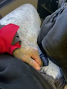 Fuckboy4public online show from 12.29.24