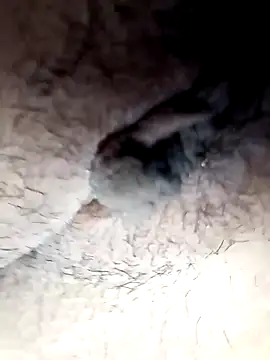 lemon69Reo online show from 02.26.25