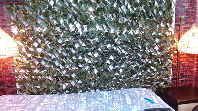 Snapshot of AndrewPherson chatting on 01.03.25 AndrewPherson online show from 01.03.25