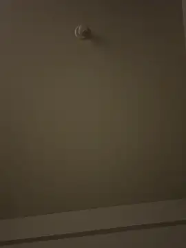 Morguisssz online show from 01.08.26